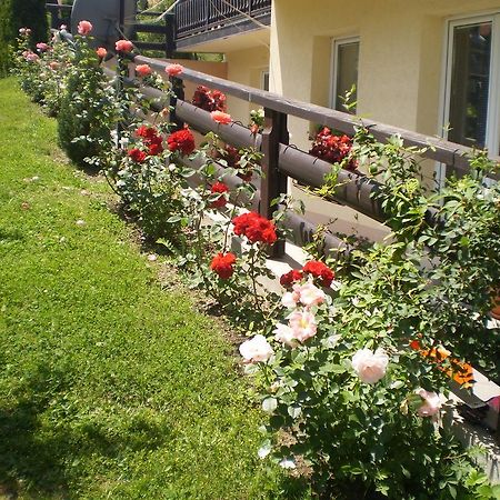 Apartments Vila Velickovic Zlatibor Exteriör bild