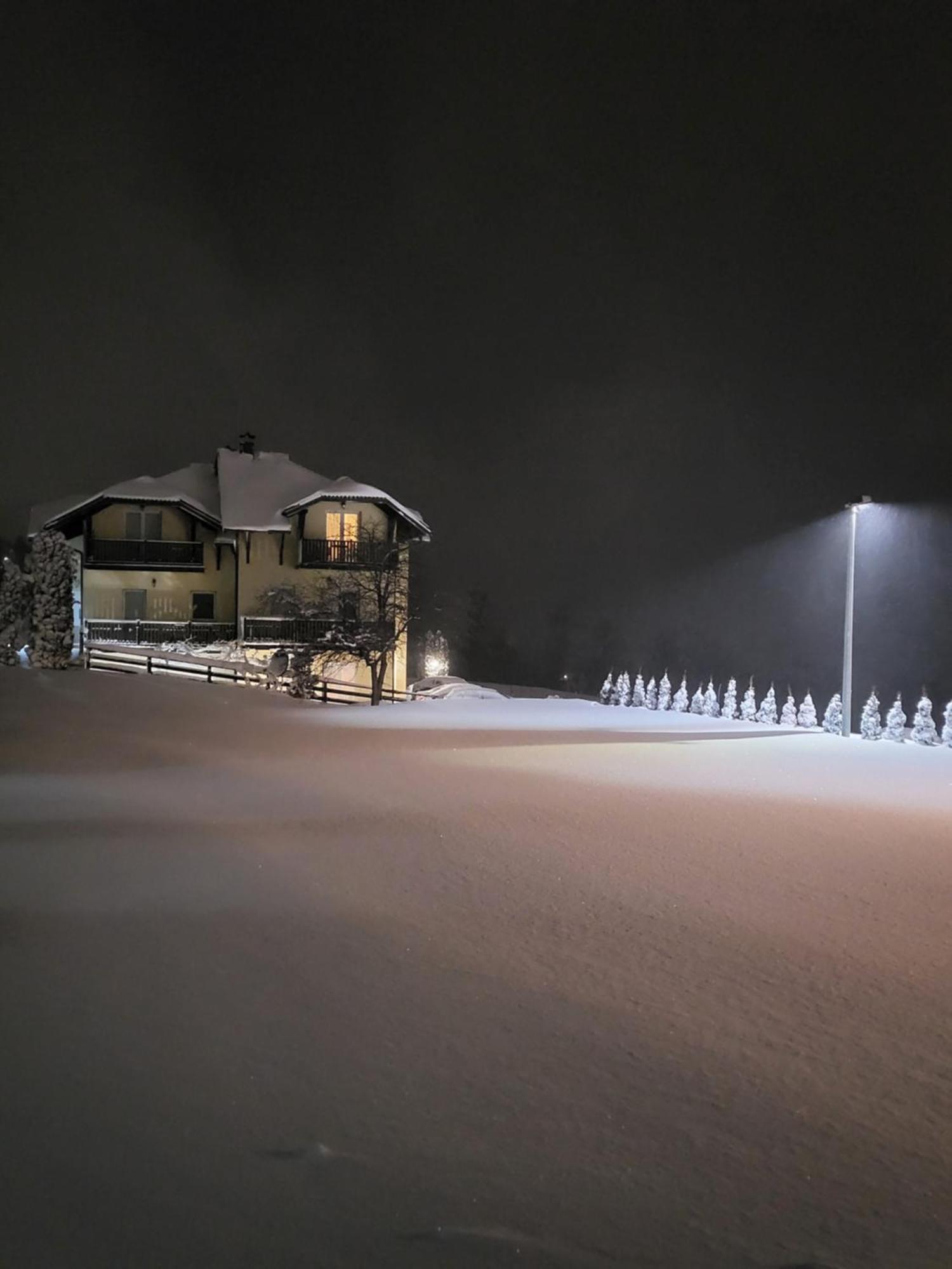 Apartments Vila Velickovic Zlatibor Exteriör bild