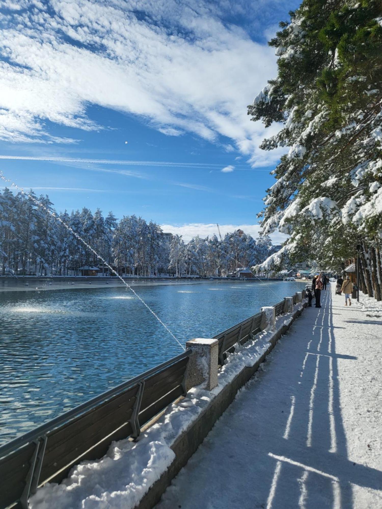 Apartments Vila Velickovic Zlatibor Exteriör bild