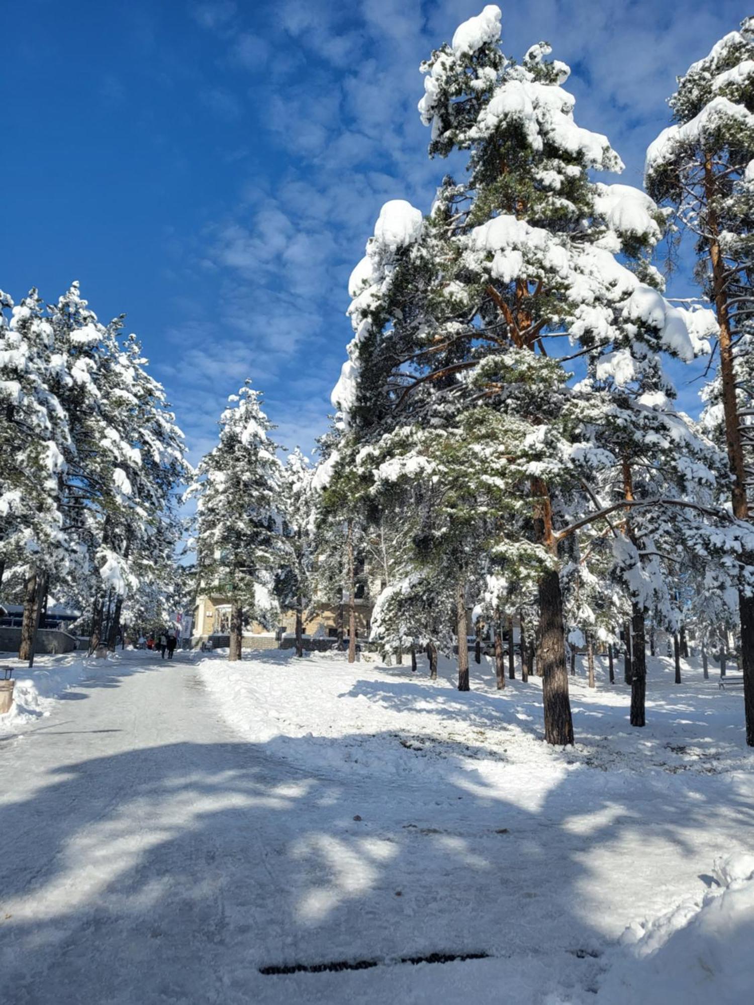 Apartments Vila Velickovic Zlatibor Exteriör bild