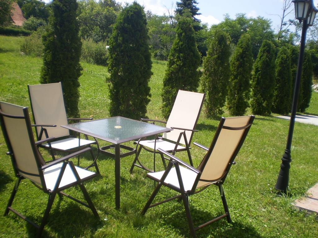 Apartments Vila Velickovic Zlatibor Exteriör bild