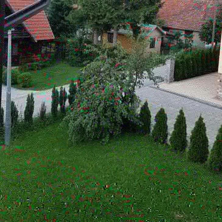 Apartments Vila Velickovic Zlatibor Exteriör bild